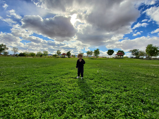 Park «Centennial Hills Park», reviews and photos, 7101 N Buffalo Dr, Las Vegas, NV 89131, USA