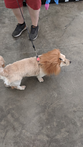 Pet Supply Store «Pet Supplies Plus», reviews and photos, 1411 S Stockton St, Lodi, CA 95240, USA