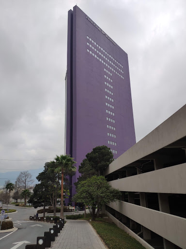 Lawyers specialised in rentals in Monterrey