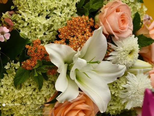 Florist «A Classic Bloom», reviews and photos, 2514 Dorrington St, Houston, TX 77030, USA