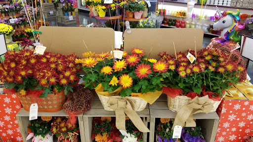 Supermarket «Stop & Shop», reviews and photos, 3126 Jericho Turnpike, East Northport, NY 11731, USA