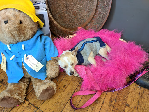 Art Supply Store «East Bay Depot for Creative Reuse», reviews and photos, 4695 Telegraph Ave, Oakland, CA 94609, USA