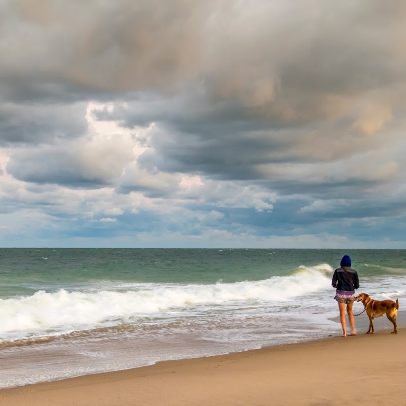 Southern Delaware Tourism