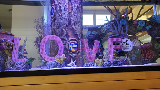 Department Store «Nordstrom Rack at Coddingtown Mall», reviews and photos, 180 Coddingtown Center, Santa Rosa, CA 95401, USA