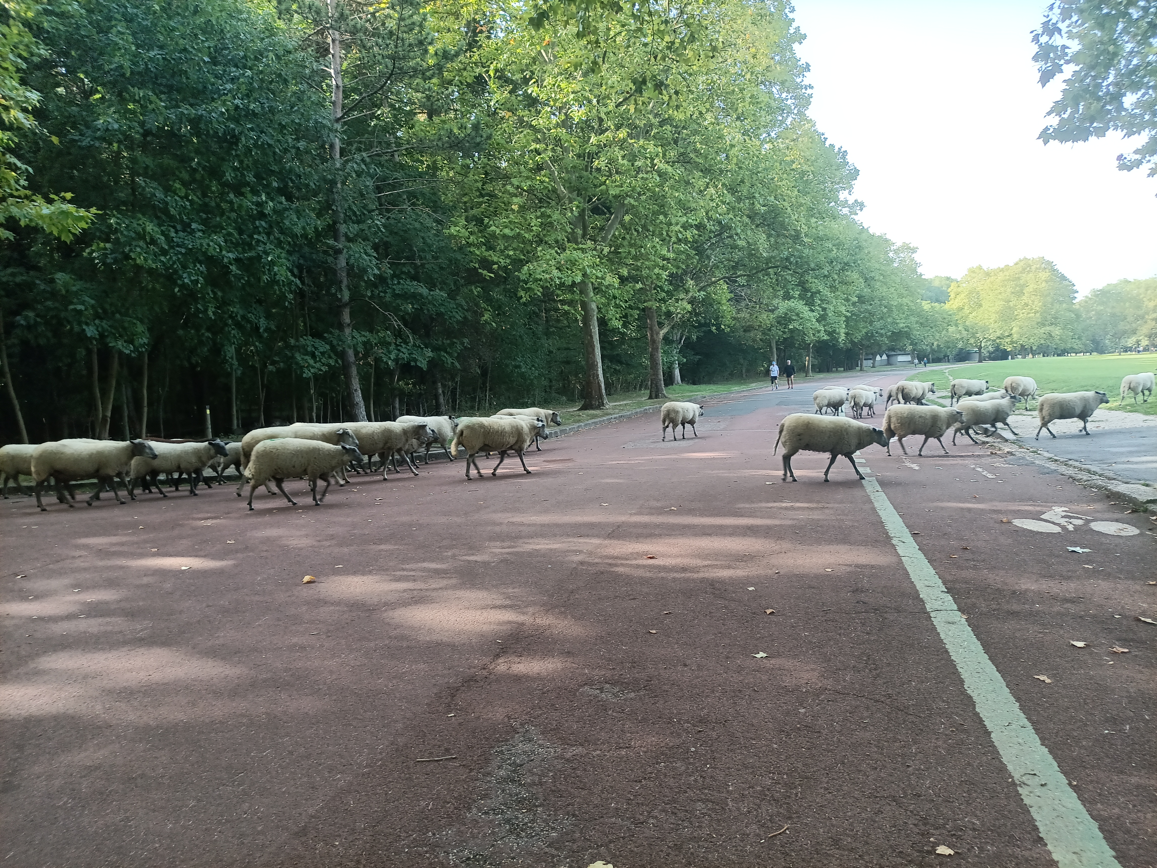 Photo n° 8 de l'avis de ini.e fait le 29/07/2023 à 12:14