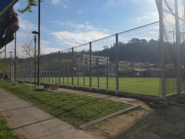 Opiniones de Cancha Huascar en Concepción - Campo de fútbol