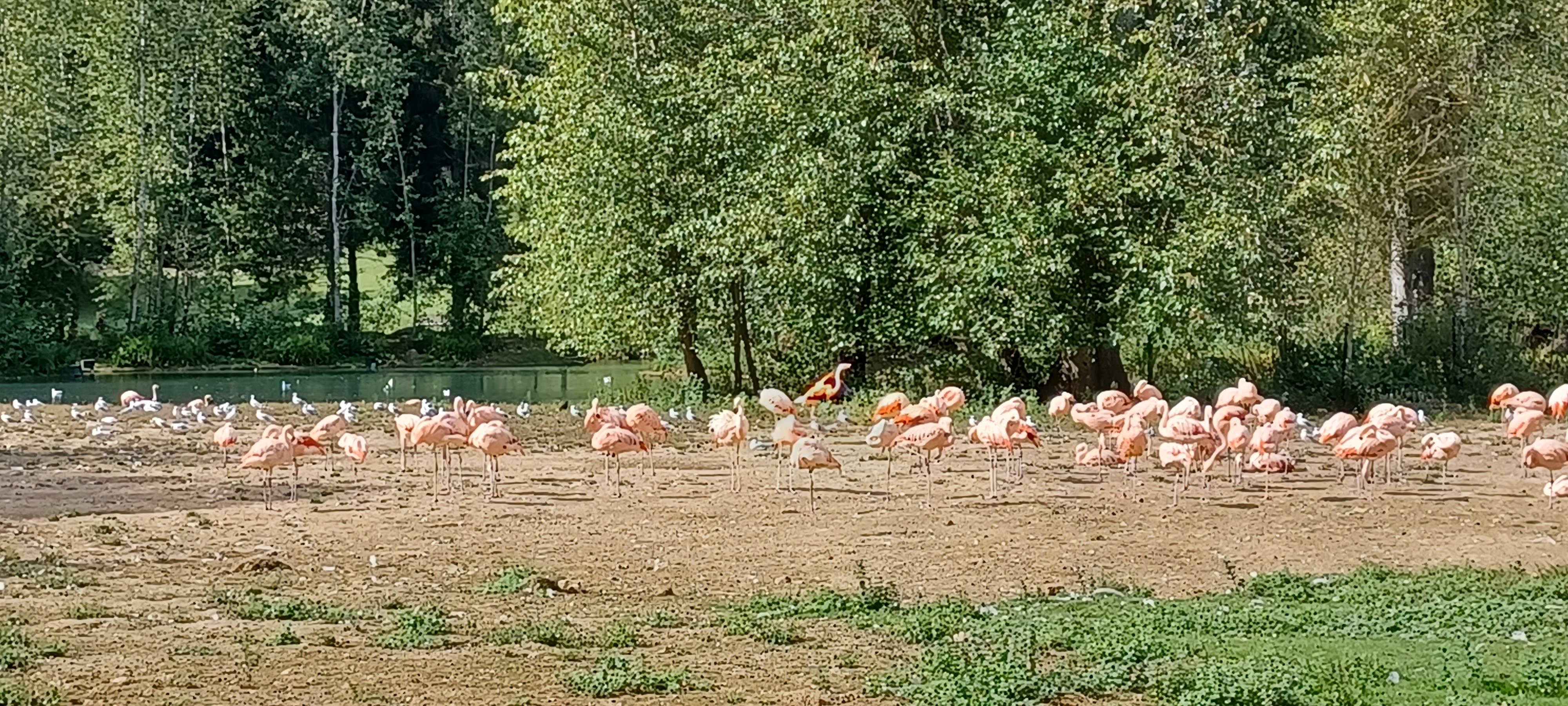 Photo n° 2 de l'avis de Marie-jose.e fait le 22/09/2021 à 19:26