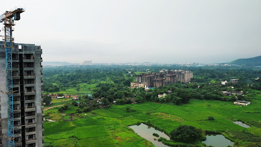 Google Maps image 14