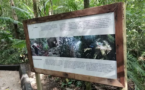 Panama Rainforest Discovery Center image