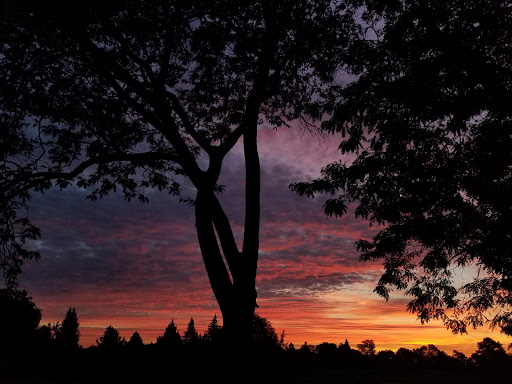 Golf Course «Forest Akers West Golf Course», reviews and photos, 3535 Forest Rd, Lansing, MI 48910, USA