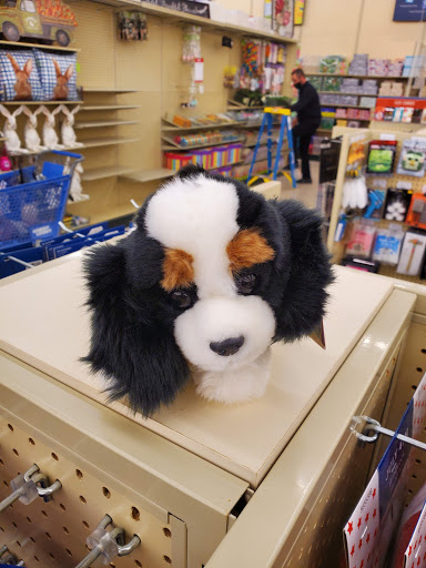 Craft Store «Hobby Lobby», reviews and photos, 2360 S Randall Rd, Algonquin, IL 60102, USA