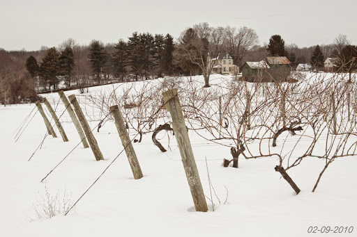 Winery «Penns Woods Winery», reviews and photos, 124 Beaver Valley Rd, Chadds Ford, PA 19317, USA