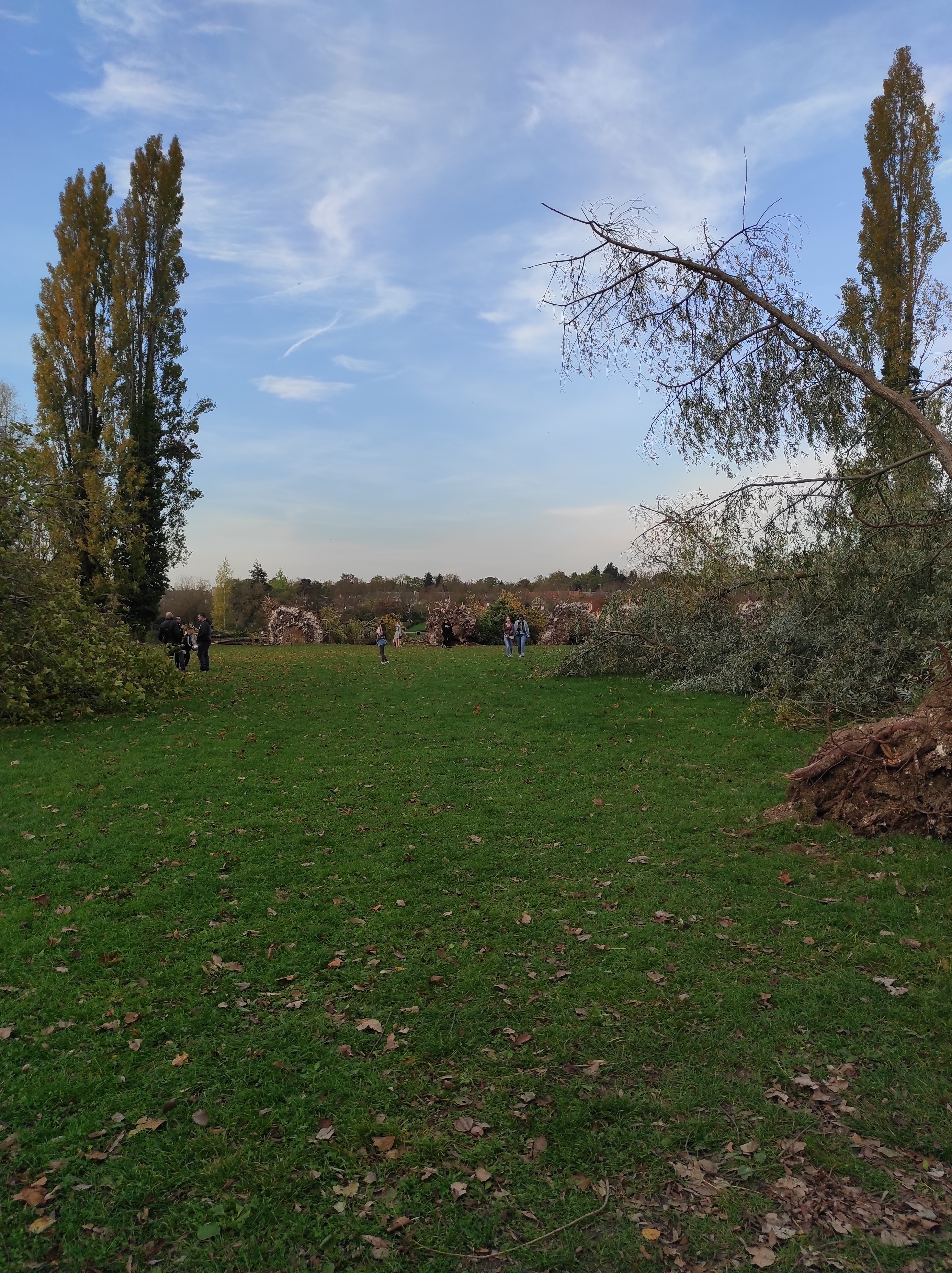 Photo n° 13 de l'avis de nadine.o fait le 29/10/2022 à 17:42