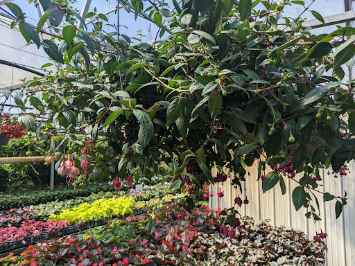 Garden Center «Quality Gardens», reviews and photos, 409 PA-228, Valencia, PA 16059, USA