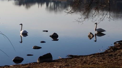 Park «French Regional Park», reviews and photos, 12605 Rockford Rd, Plymouth, MN 55441, USA