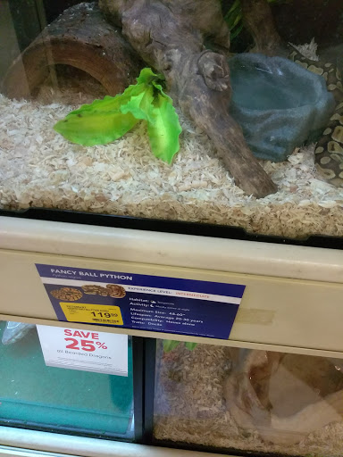 Pet Supply Store «PetSmart», reviews and photos, 3500 Ross Clark Cir, Dothan, AL 36303, USA