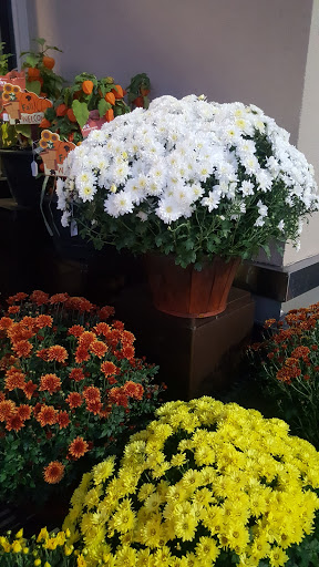 Grocery Store «Safeway», reviews and photos, 6911 Coal Creek Pkwy SE, Newcastle, WA 98059, USA