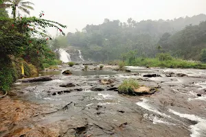 Chunayanmakkal Waterfalls Munnar image