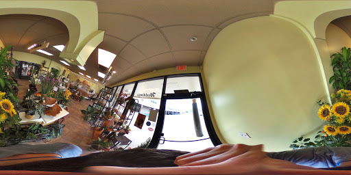 Florist «Buds Blooms & Beyond», reviews and photos, 11234 W Hillsborough Ave, Tampa, FL 33635, USA