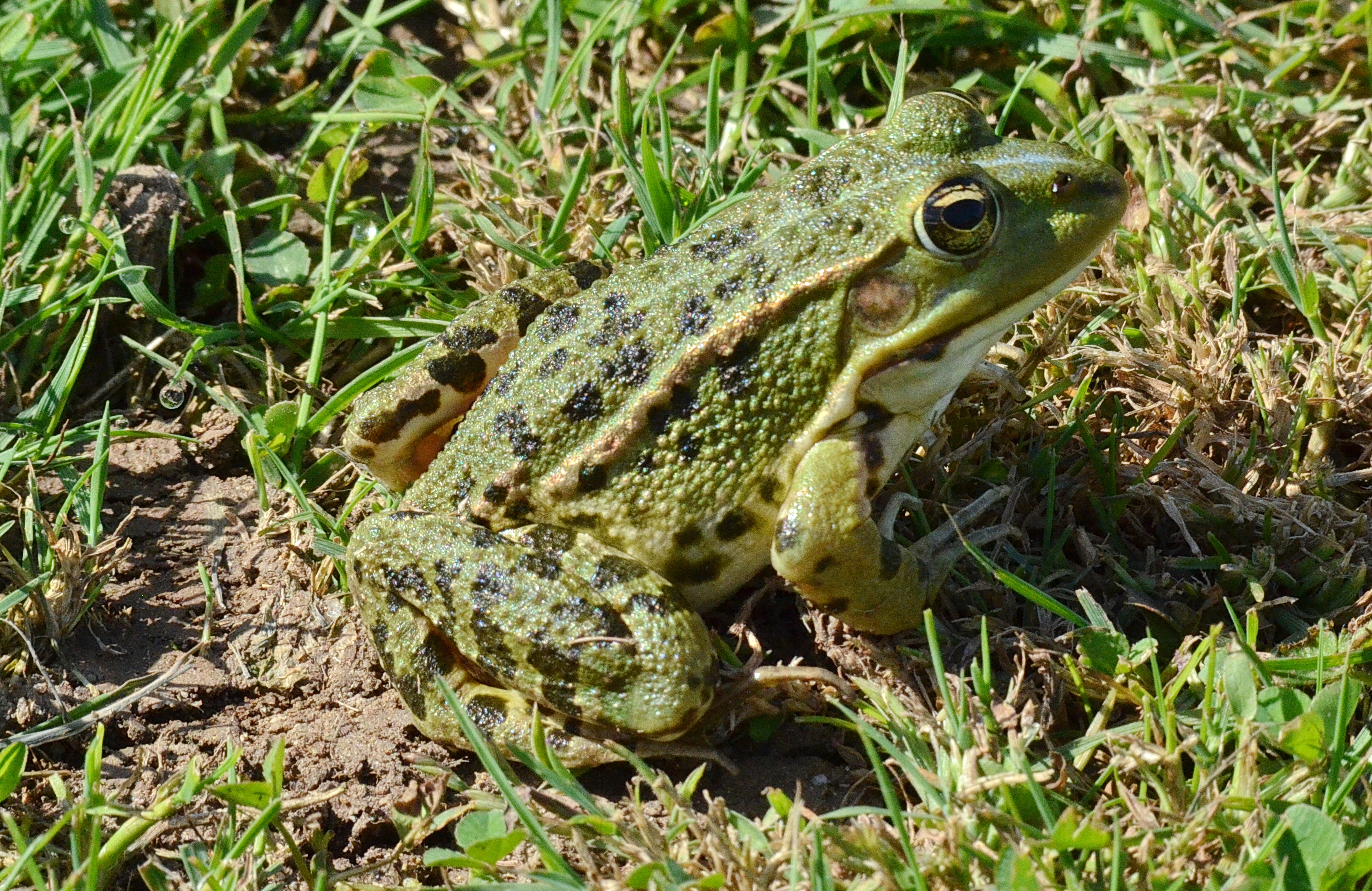 Photo n° 5 de l'avis de Nick.e fait le 27/09/2023 à 16:09
