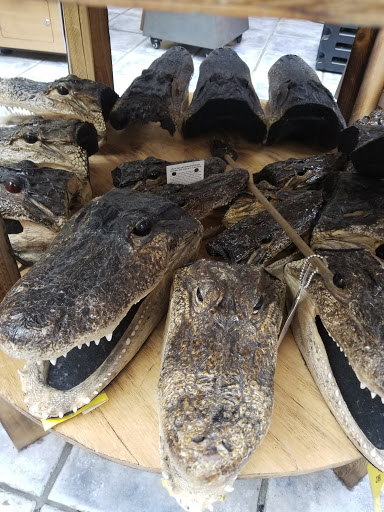 Supermarket «Lake Buena Vista Supermarket Kash N Karry Supercenter», reviews and photos, 13400 S Apopka Vineland Rd, Orlando, FL 32821, USA