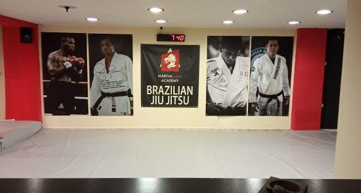 Martial Arts Academy Περιστέρι | Brazilian JiuJitsu, Kickboxing, Aikido