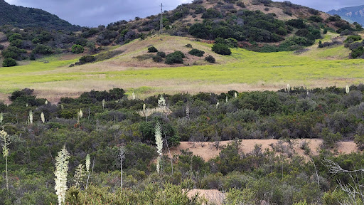 Los Robles Trail (aka Space Mountain)