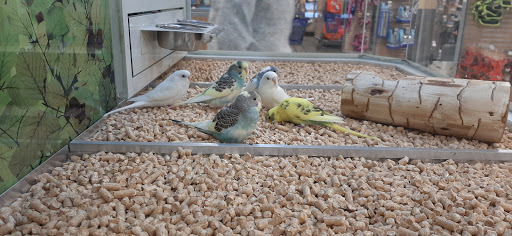 Pet Supply Store «PetSmart», reviews and photos, 240 N Gates Dr, Bloomington, IN 47404, USA