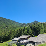 Photo n°6 de l'avis de Gwen.o fait le 22/06/2022 à 16:58 sur le  Marzoner Alm à Montefranco