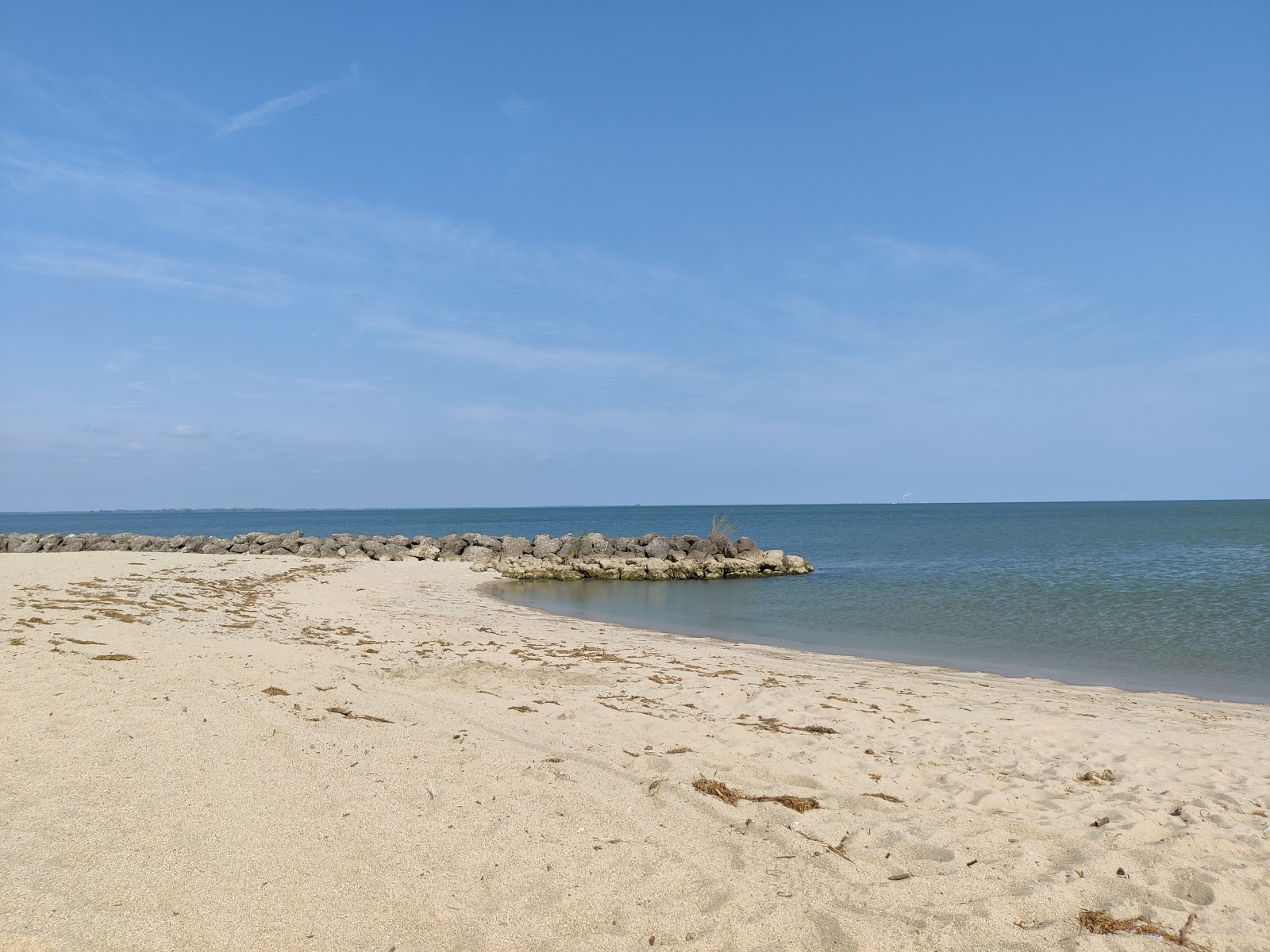 Photo of Maumee Bay State Park Beach - popular place among relax connoisseurs