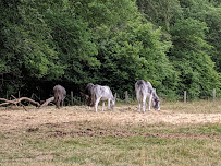 Photos des visiteurs du Restaurant Ecoferme La Fermanerie à Giat - n°10