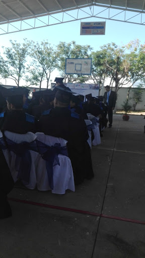 Cecyte Cuerámaro en Cuerámaro