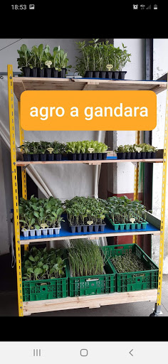 Agro A Gandara