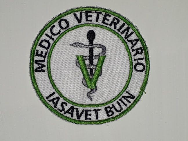 Iasavet Centro Veterinario Buin - Veterinario