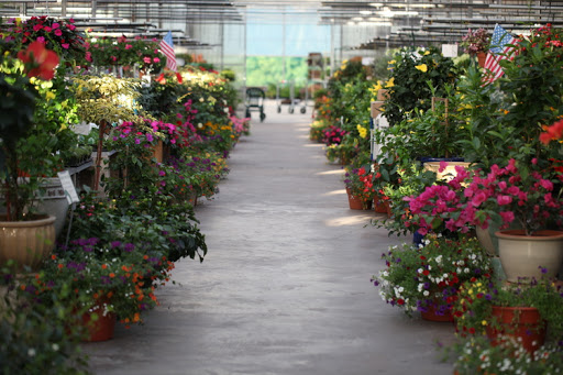 Country Flower Farms