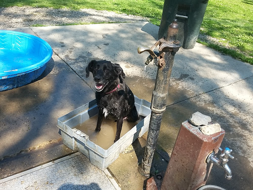 Dog Park «Mt. Airy Dog Park», reviews and photos, 3006 Westwood Northern Blvd, Cincinnati, OH 45211, USA