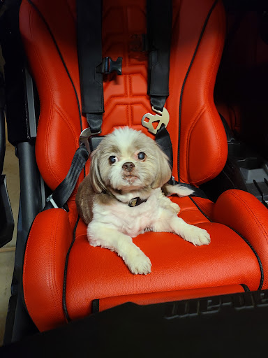 Motorcycle Dealer «RideNow Powersports Goodyear», reviews and photos, 13690 W Test Dr, Goodyear, AZ 85338, USA