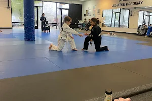 Synergy Jiu-Jitsu Academy image