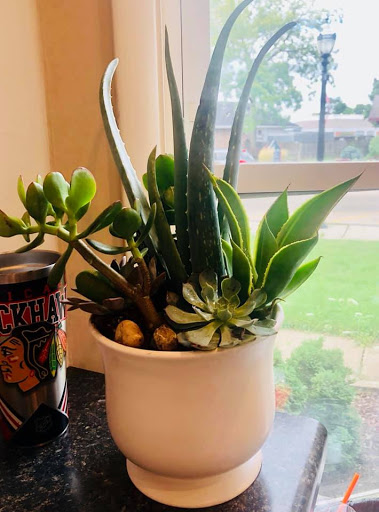 Florist «Northwest Florist», reviews and photos, 4 Crystal Lake Plaza, Crystal Lake, IL 60014, USA