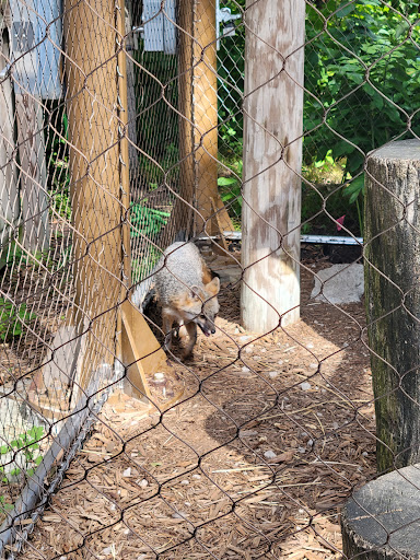 Natural History Museum «Cleveland Museum of Natural History», reviews and photos, 1 Wade Oval Dr, Cleveland, OH 44106, USA