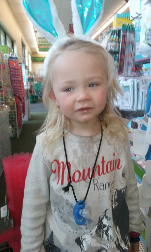 Dollar Store «Dollar Tree», reviews and photos, 1121 Old County Rd, San Carlos, CA 94070, USA