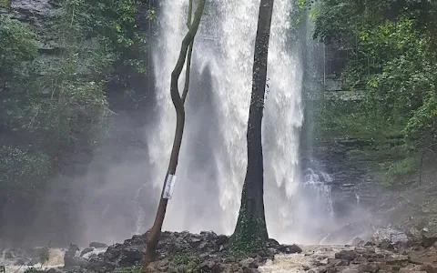 Asenema Waterfalls image