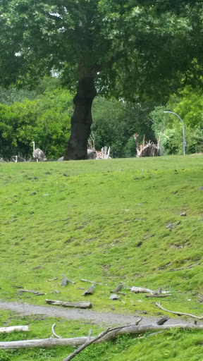 Zoo «Seattle Rotary Education Center», reviews and photos, Zoo acrd., Seattle, WA 98103, USA