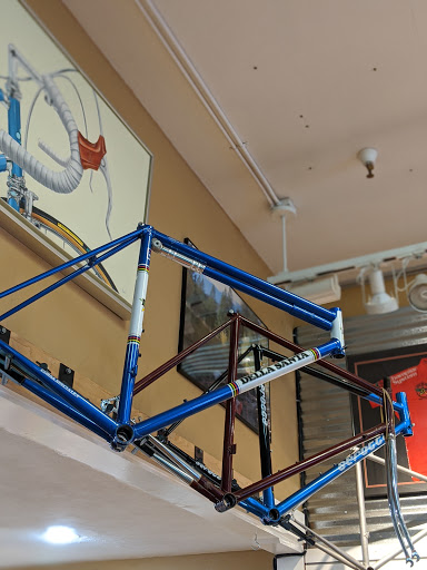 Bicycle Store «Velo Reno», reviews and photos, 3450 Lakeside Dr, Reno, NV 89509, USA