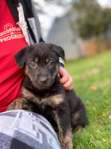 Good Neighbor Vet image