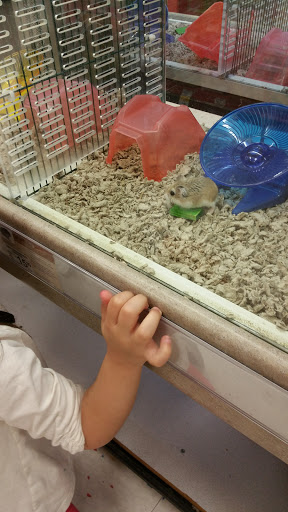 Pet Supply Store «Petco Animal Supplies», reviews and photos, 1951 N Military Trl c, West Palm Beach, FL 33409, USA