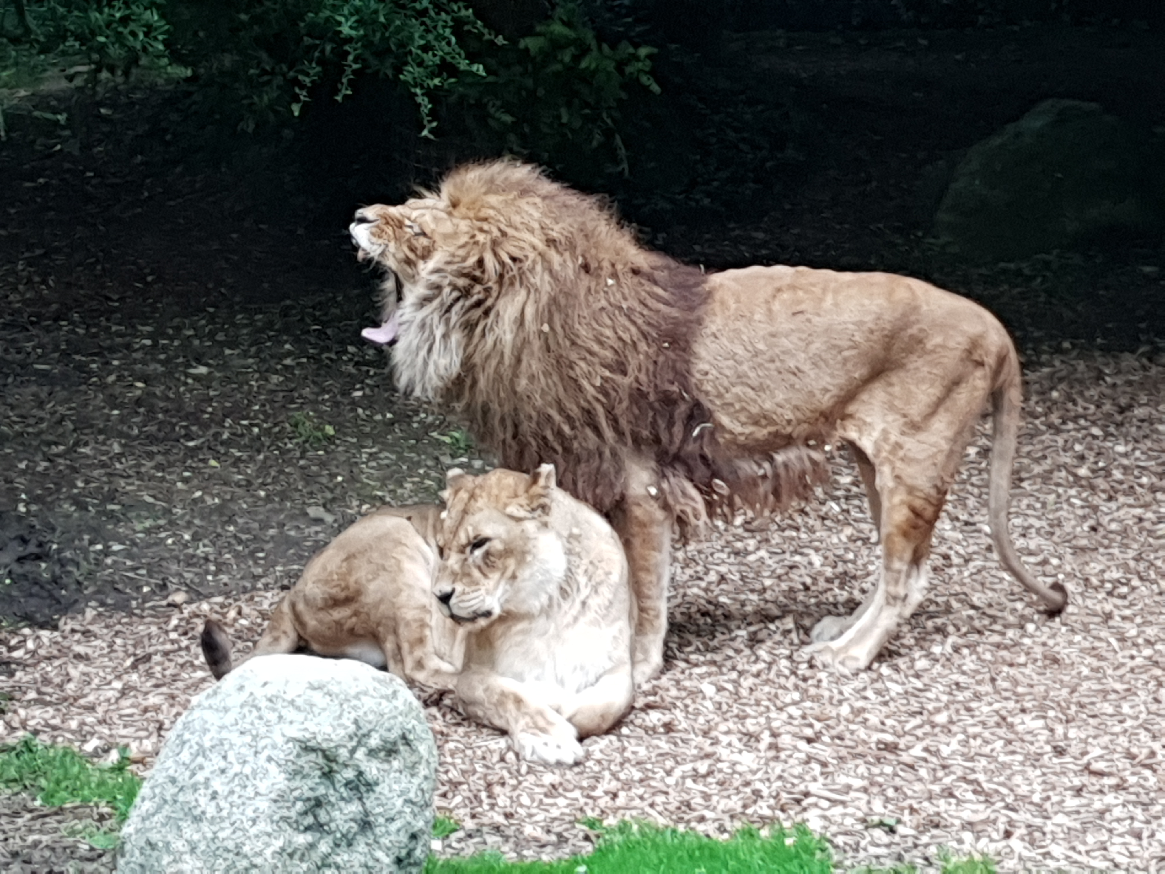 Photo n° 1 de l'avis de Sabine.A fait le 09/07/2021 à 18:31