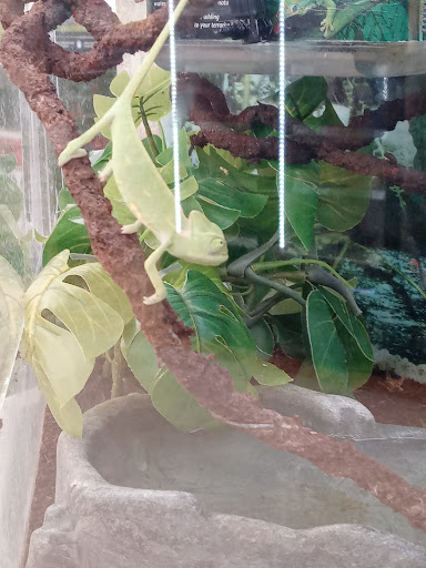 Pet Supply Store «Petco Animal Supplies», reviews and photos, 5631 Grove Blvd, Hoover, AL 35226, USA