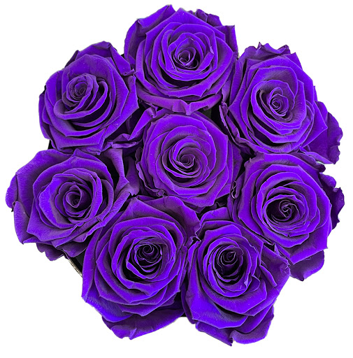 Florist «El Camino Florist», reviews and photos, 632 El Camino Real, South San Francisco, CA 94080, USA