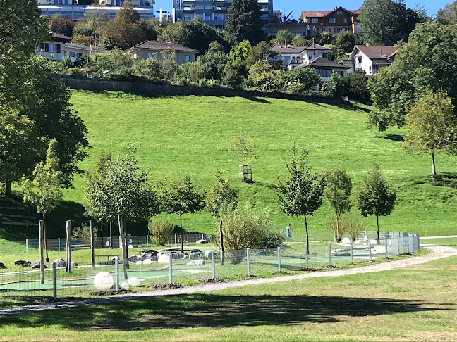 Kommentare und Rezensionen über Minigolf Spiez